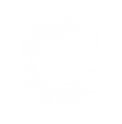 logo blanco-04.png
